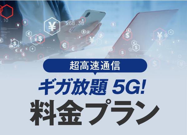 追加料金 6000円 国が実施する「電気・ガス料金支援」による電気料金・都市ガス